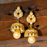 Leaves Studded In CZ Earrings 18kt Gold Polish