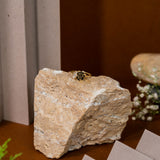 Eternity Of Roses Ring In Gold