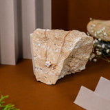 Four Leaf Flower Mother of Pearl Pendant Chain In Rose Gold