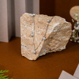 Hall of fame Pendant Chain in White Gold