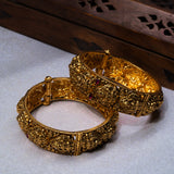 Deep Nakas Multi Colour With Lakshmi 24 kt Gold Plated Bangles