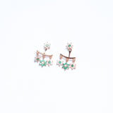 Detachable earrings set