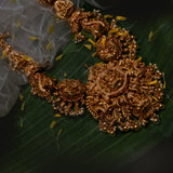 Deep Nakas Vijayalakshmi Long Necklace studded with CZ in 24kt Gold Polish