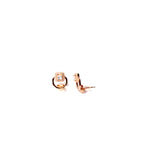 Diamond cut Circle With CZ Diamond studs in Rose Gold