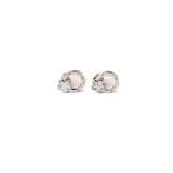 MOP Starfish studs in White Gold