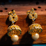 Leaves Studed In CZ Earrings 18kt Gold Polish